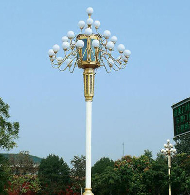 加查中华灯 加查中华灯