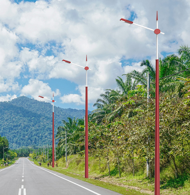 加查民族特色路灯 加查民族特色路灯
